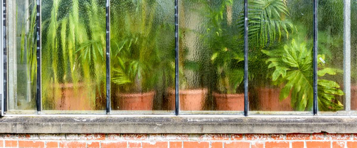 Microclimates