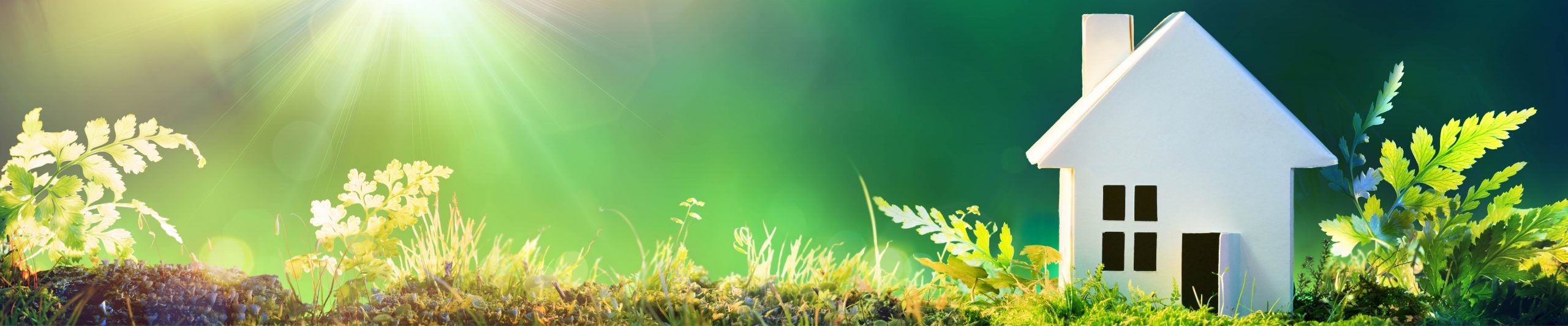 How can I build my home sustainably?